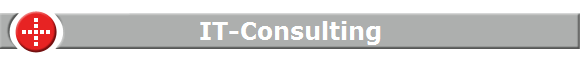 IT-Consulting
